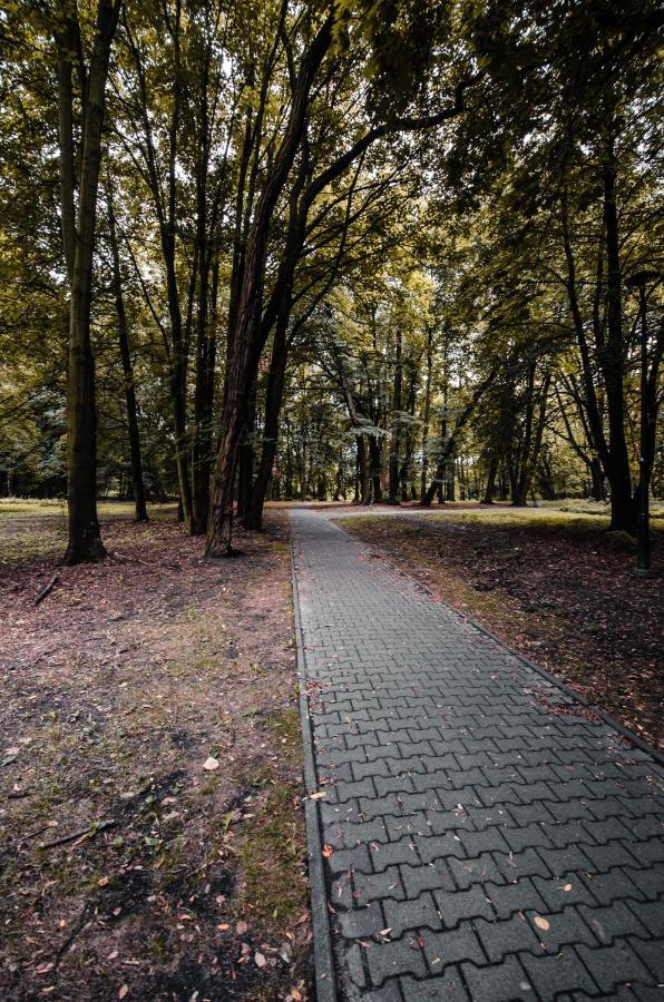 Apartament Deluxe Arcon Siemianowice Śląskie Exterior foto